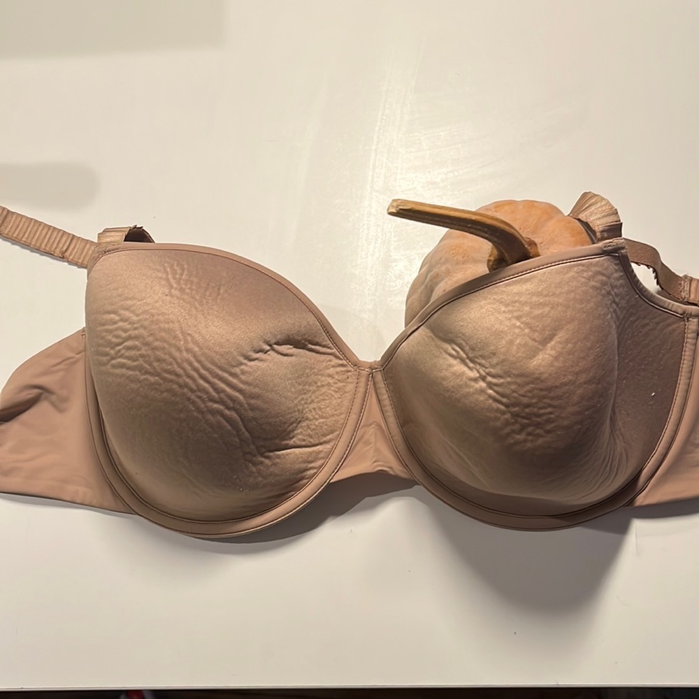 Thirdlove Classic T Shirt Bra in size 34F